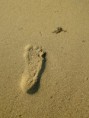 /album/jackontheroad/sudnorwegen-120-jpg/